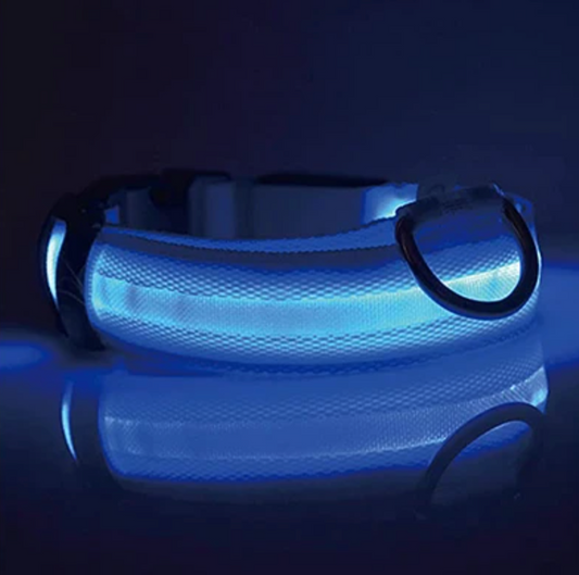 HappyGlow™ LED Collar